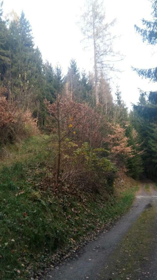 Haus Elisabeth Apartman Mittersill Kültér fotó